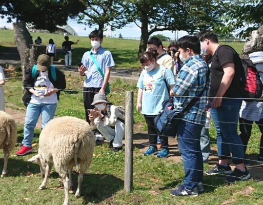 5月のレクリエーション　パートⅡ