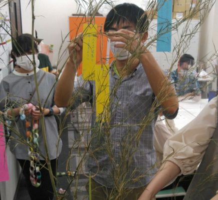 星に願いを・・・☆彡