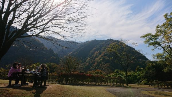 「ほめる」の効能